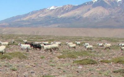 La Patagonia podría agregar 1 millón de hectáreas agrícolas bajo riego