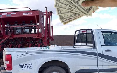 El BNA anunció créditos para productores destinados a inversión productiva y capital de trabajo