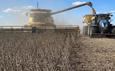 El rendimiento de soja duplicaría al de la campaña previa en la provincia de Córdoba