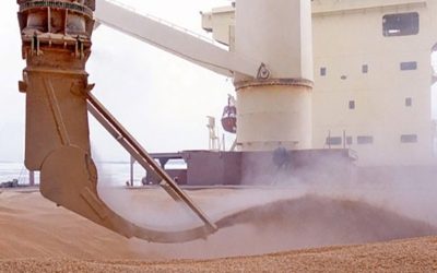 Mientras EEUU inicia muy bien el ciclo 24/25, Brasil vuelve a generar dudas