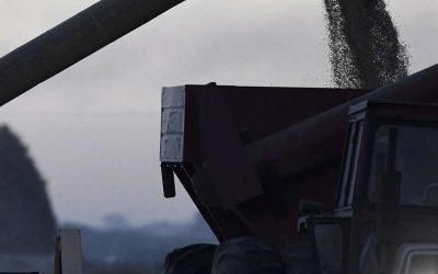 Duro informe del Banco Mundial sobre Argentina: “Es el único líder del agro que perdió participación global”