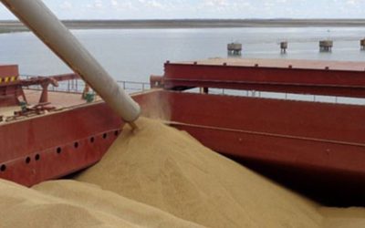 El Gobierno modifica requisitos del RUCA para el sector agroexportador