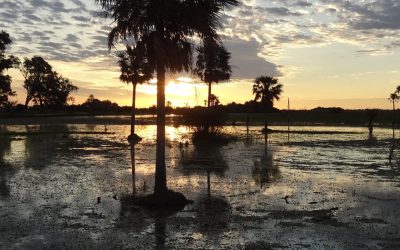 Red de Reservas Privadas: Construyendo un legado de respeto y responsabilidad hacia la naturaleza.