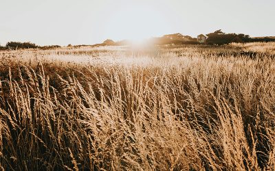 El frio invade a casi toda la Argentina: que pasará con las lluvias en los próximos dias