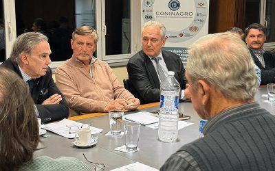 Incentivo a las inversiones: ya aprobado el RIGI, ahora desde el agro insisten por el RIDA