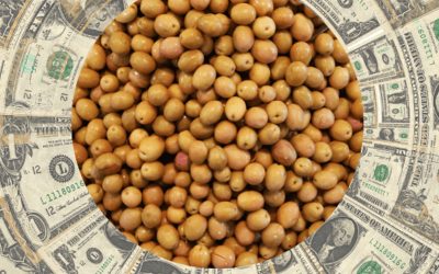 “Robo institucionalizado”: un duro reclamo del campo cordobés a Milei por las retenciones