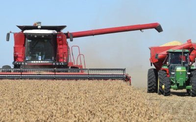 Proyectan que el superávit comercial de 2024 sería el más alto de los últimos 15 años