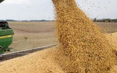 Retenciones: con una baja al 25% para soja, la liquidación podría crecer en U$S 8.600 millones