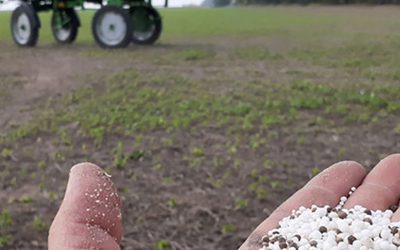 El impacto de la reducción del Impuesto PAIS y cómo afecta a la agroindustria