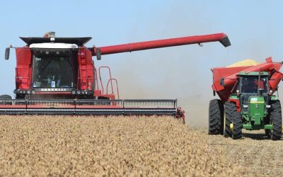 Con condiciones climáticas normales, la producción de granos superaría los 143 millones de toneladas, un 9,3% más que en la temporada pasada