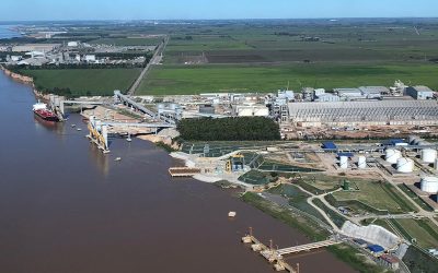 Derechos de exportación en Argentina: evolución, recaudación e impacto en el agro