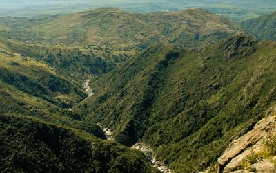 Lanzan una campaña para elaborar el Mapa de Cobertura Vegetal de Córdoba