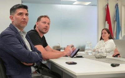 Chicharrita: relevamientos indican baja presencia del vector