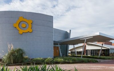 Derrumbe financiero: Los Grobo, Agrofina y Surcos abren concurso preventivo de acreedores