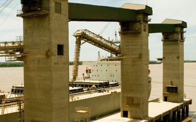 Retenciones: para el Consejo Agroindustrial, la rebaja hará crecer 11% las exportaciones