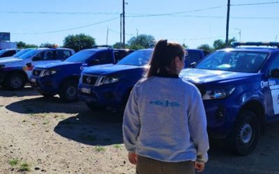 Cruz del Eje: Se decomisaron 105 kg de carne y 50 kg de salames por faenamiento clandestino