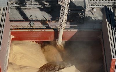 Histórico: por primera vez, China compra harina de soja argentina