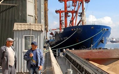 Exportaciones agroindustriales reflejan crecimiento del 4.5% durante el primer semestre