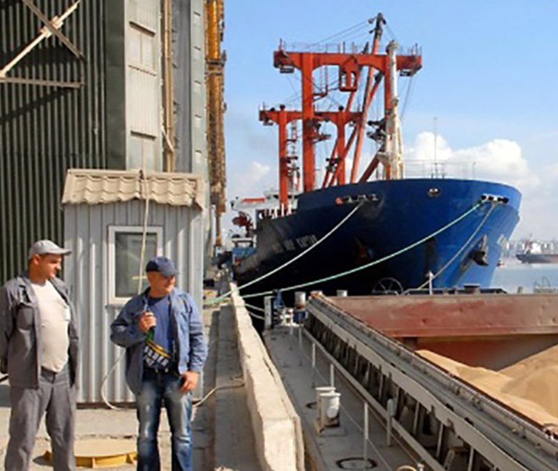 Exportaciones agroindustriales reflejan crecimiento del 4.5% durante el primer semestre