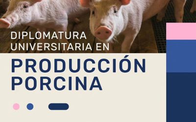 Llega una nueva edición de la Diplomatura Universitaria en Producción Porcina 
