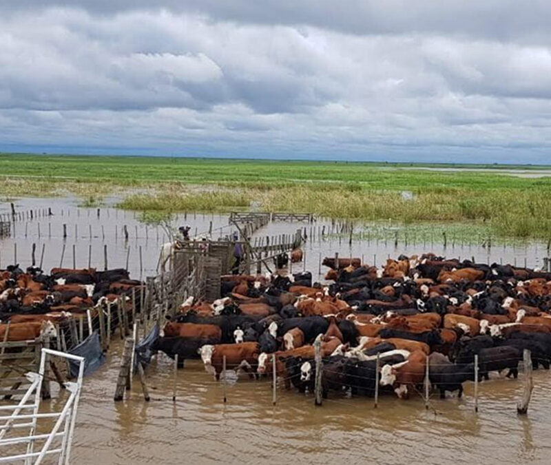 Inundaciones: Reclaman medidas urgentes para el centro de Buenos Aires, donde estiman 1.000.000 de hectáreas anegadas