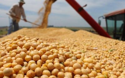 Por la baja permanente de retenciones, el agro proyecta un 8% más de producción y 28.800 millones de dólares extra a 10 años