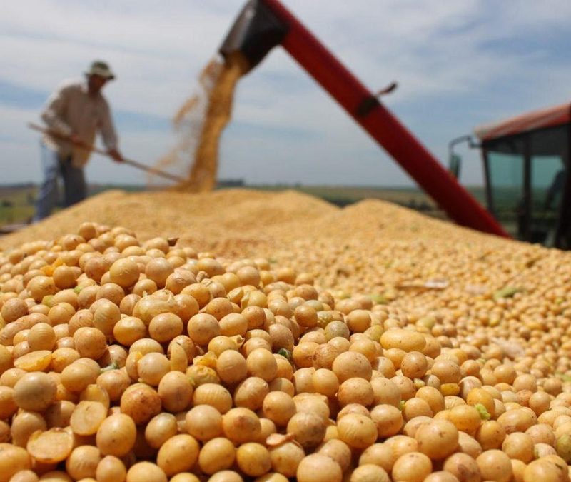 Por la baja permanente de retenciones, el agro proyecta un 8% más de producción y 28.800 millones de dólares extra a 10 años