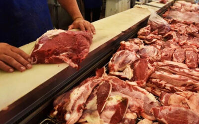 La brecha entre carne vacuna y de cerdo se acrecienta en cortes más populares