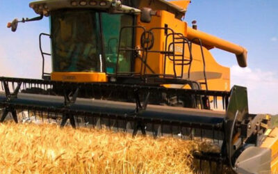 La actividad económica mostró estabilidad en septiembre