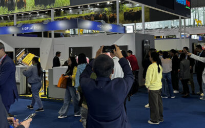 La carne argentina va por más en China