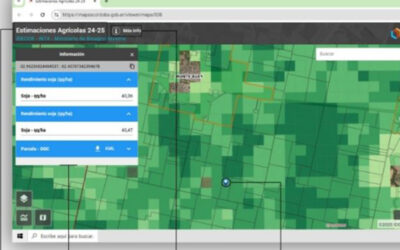 Rindes agrícolas de la campaña 24-25 en un nuevo mapa abierto