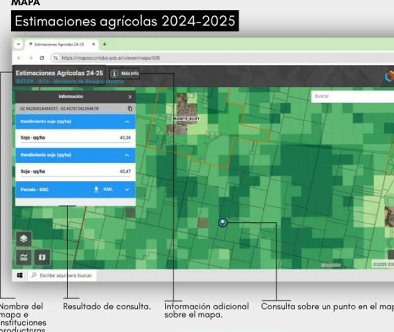 Rindes agrícolas de la campaña 24-25 en un nuevo mapa abierto