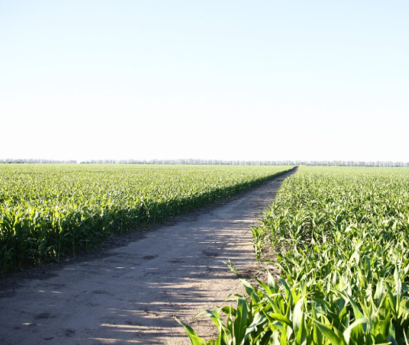 La Provincia impulsa Seguro Multirriesgo Agrícol