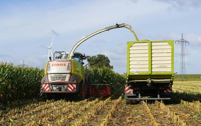 La actividad de la cadena agropecuaria alcanzó un récord histórico en noviembre