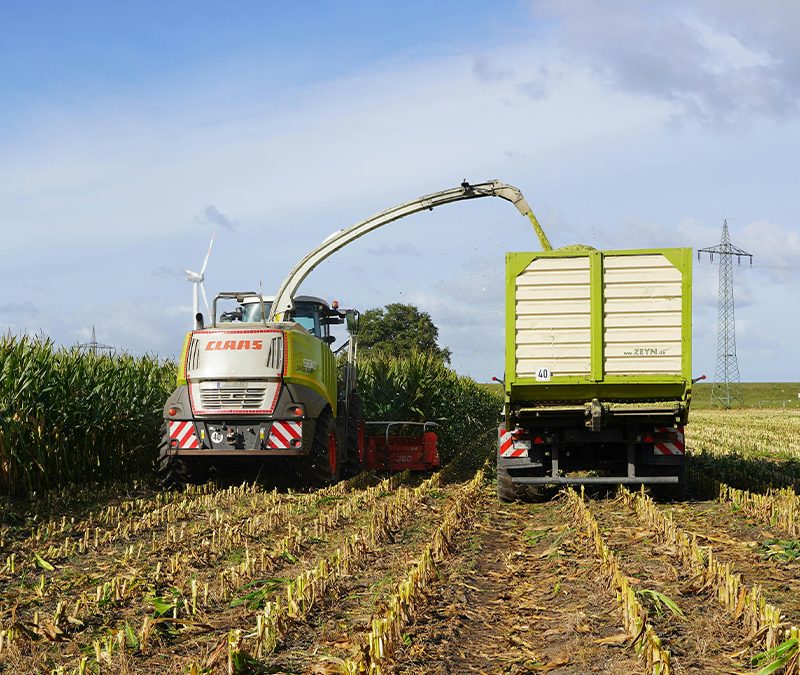 La actividad de la cadena agropecuaria alcanzó un récord histórico en noviembre