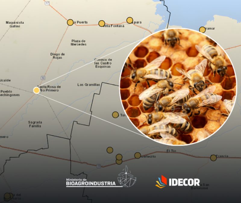 Producción apícola, el nuevo mapa de Ganadería