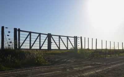 El 19 de diciembre vence el plazo para inscribirse en el Registro de Propietario Productor