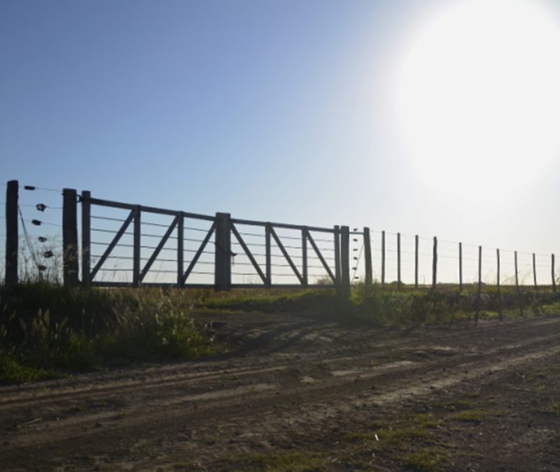 El 19 de diciembre vence el plazo para inscribirse en el Registro de Propietario Productor