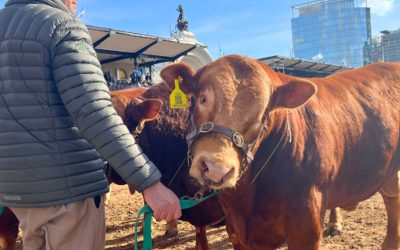 La Provincia entregó créditos para fortalecer la producción ganadera y láctea en el sur provincial