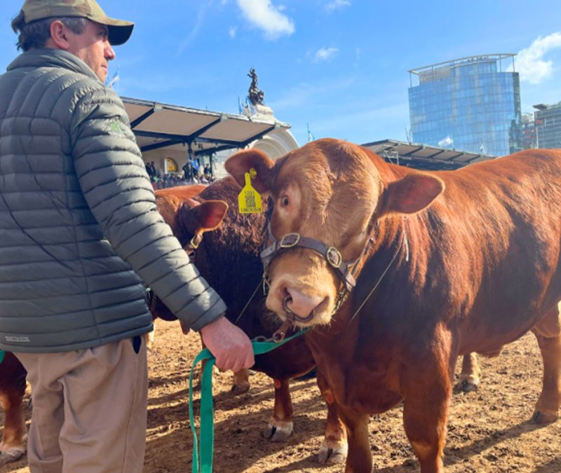 La Provincia entregó créditos para fortalecer la producción ganadera y láctea en el sur provincial