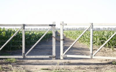 El 10 de enero cierran las inscripciones para el Seguro Multirriesgo Agrícola