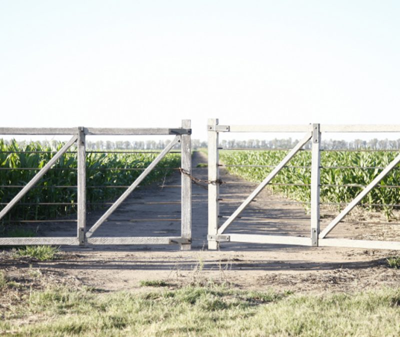 El 10 de enero cierran las inscripciones para el Seguro Multirriesgo Agrícola