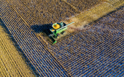 Córdoba. Primera estimación de producción con la dinámica de las lluvias como condicionante