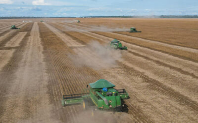 INFORME DE MERCADOS AGRÍCOLAS | FEBRERO 2026