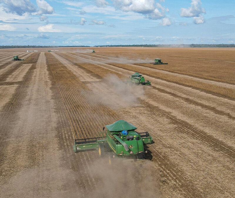 INFORME DE MERCADOS AGRÍCOLAS | FEBRERO 2026