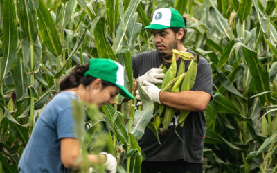 La Chocleada Solidaria de la FCA cumple 11 años