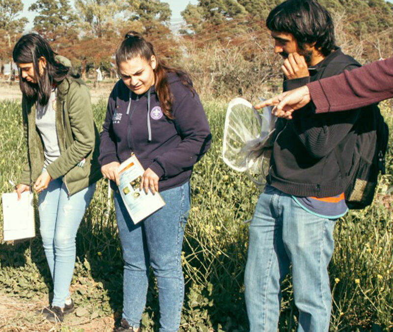 La Fundación Bolsa de Cereales lanza una nueva edición del programa Minerva