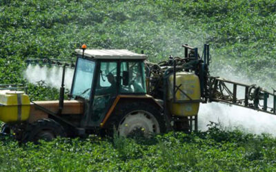 Absolvieron a los productores en el juicio por fumigaciones de Pergamino y condenaron a dos funcionarios municipales
