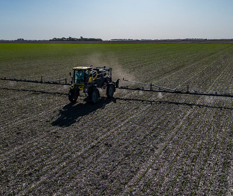 Un vacío legal que limita al campo: el Congreso busca una salida al laberinto de regulaciones sobre fitosanitarios