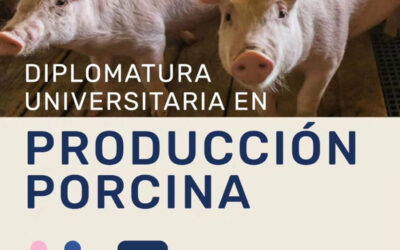 Llega la quinta edición de la Diplomatura Universitaria en Producción Producción Porcina